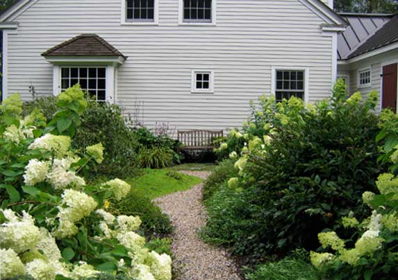 Athyrium Landscaping Exterior
