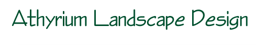 Athyrium Landscape Design